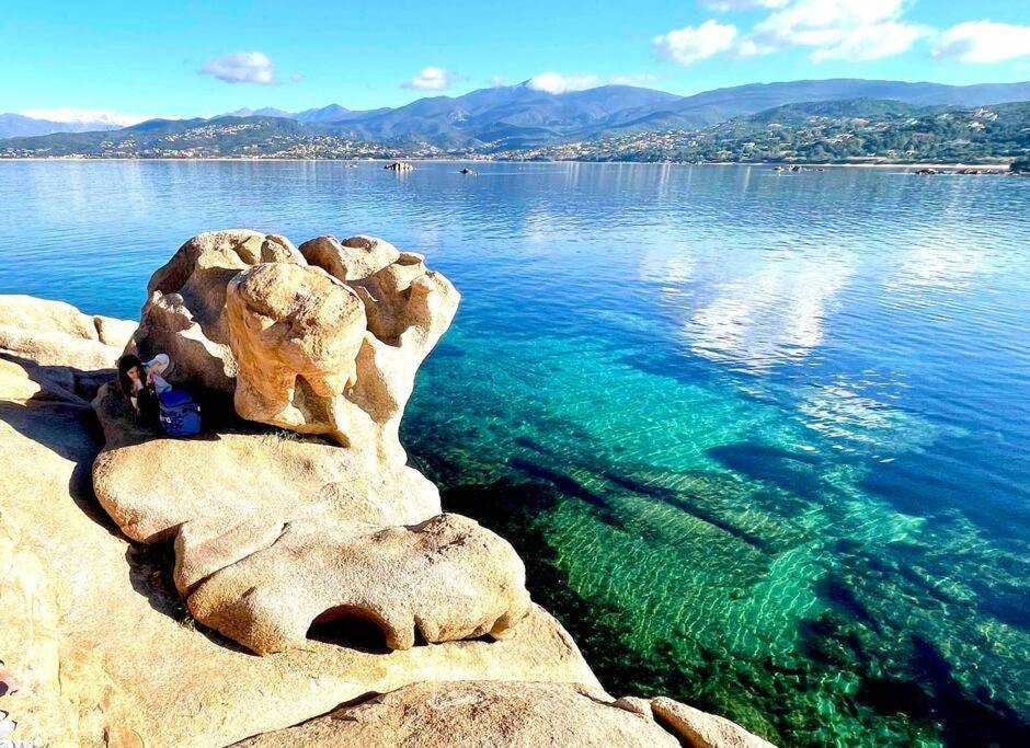 Villa Proche Ajaccio Et Mer Exclusive 2 A 10 Voyageurs Bastelicaccia Dış mekan fotoğraf