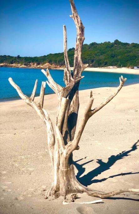 Villa Proche Ajaccio Et Mer Exclusive 2 A 10 Voyageurs Bastelicaccia Dış mekan fotoğraf