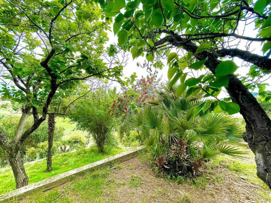 Villa Proche Ajaccio Et Mer Exclusive 2 A 10 Voyageurs Bastelicaccia Dış mekan fotoğraf